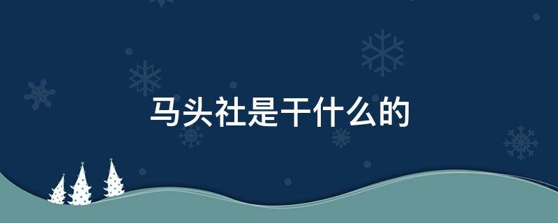 马头社是干什么的 马头社的全称