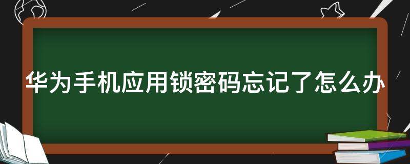 华为手机应用锁密码忘记了怎么办（华为手机应用锁密码忘记了怎么办呢）