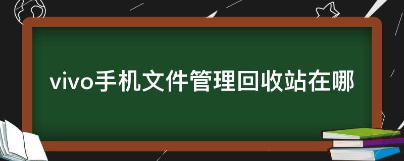 vivo手机文件管理回收站在哪（vivo手机文件管理里面的回收站在哪里）