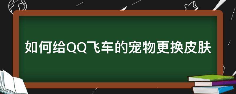 如何给QQ飞车的宠物更换皮肤（qq飞车手游宠物在哪换）