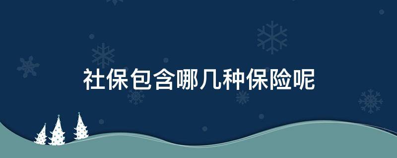 社保包含哪几种保险呢（社保包含了哪五种保险）