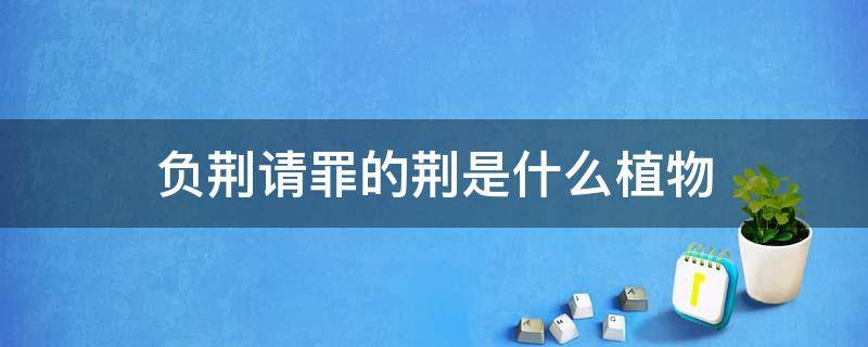 负荆请罪的荆是什么植物 负荆请罪里的荆是什么植物