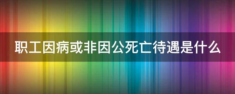 职工因病或非因公死亡待遇是什么（职工因病或非因公死亡待遇是什么意思）