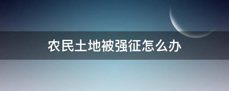 农民土地被强征怎么办（土地被强征有什么办法）