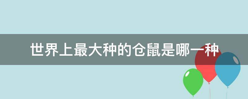 世界上最大种的仓鼠是哪一种（仓鼠一共有几种品种）