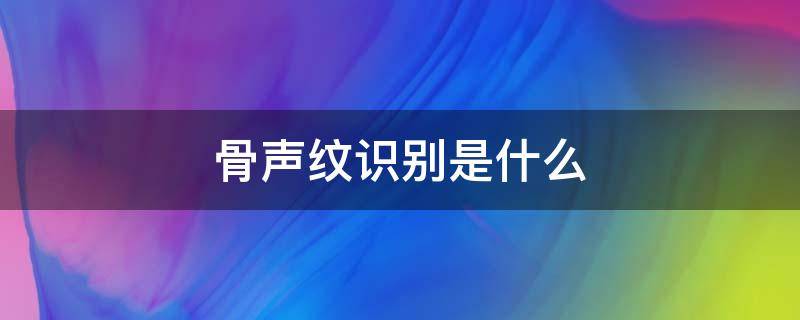 骨声纹识别是什么 骨声纹识别是什么意录入没反应