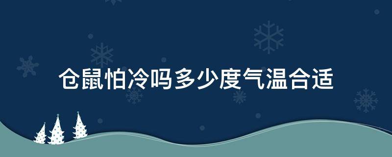 仓鼠怕冷吗多少度气温合适 仓鼠的怕冷吗