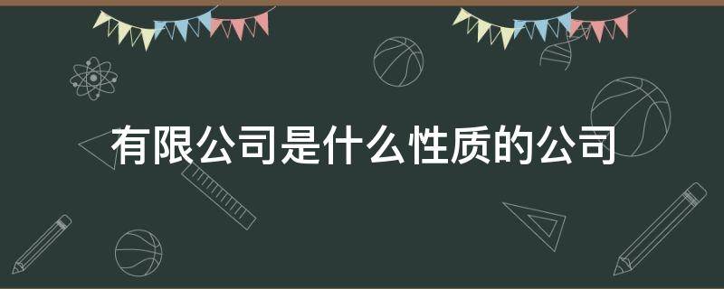 有限公司是什么性质的公司（责任有限公司是什么性质的公司）