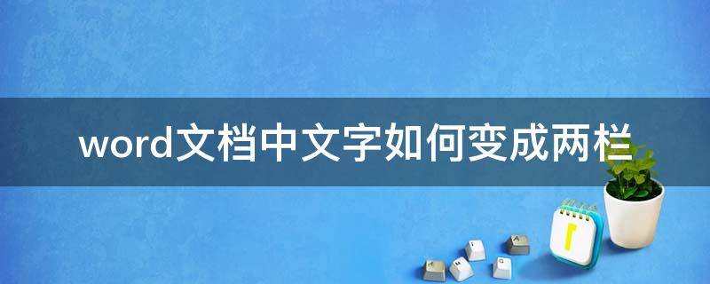 word文档中文字如何变成两栏（怎么把word文档变成两栏）