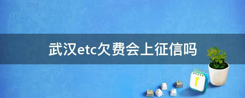 武汉etc欠费会上征信吗（欠etc进征信）