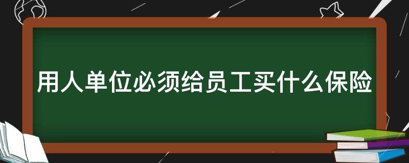 用人单位必须给员工买什么保险（用人单位必须给劳动者缴纳什么保险）