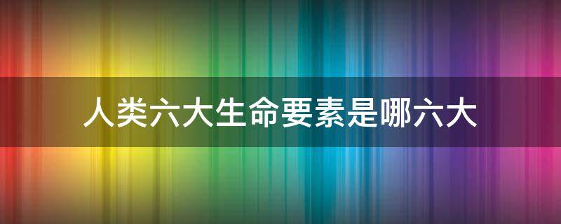 人类六大生命要素是哪六大（人体的第六大生命要素是什么）