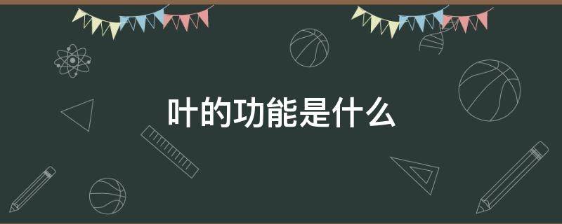 叶的功能是什么 后额叶的功能是什么