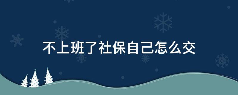 不上班了社保自己怎么交（不上班的话社保怎么交）