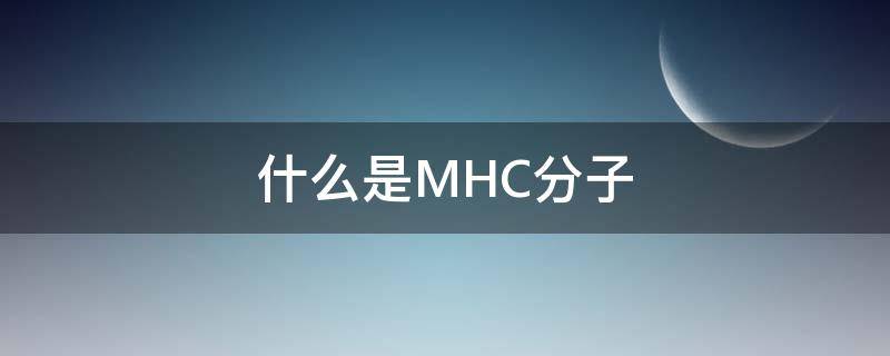 什么是MHC分子（mhc分子的种类）