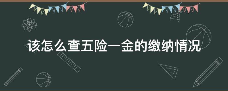 该怎么查五险一金的缴纳情况 如何查询五险一金的缴纳情况