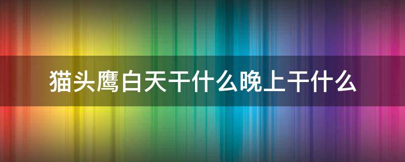 猫头鹰白天干什么晚上干什么 猫头鹰白天都在干什么