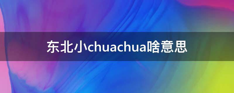 东北小chuachua啥意思（东北话小chuachua）