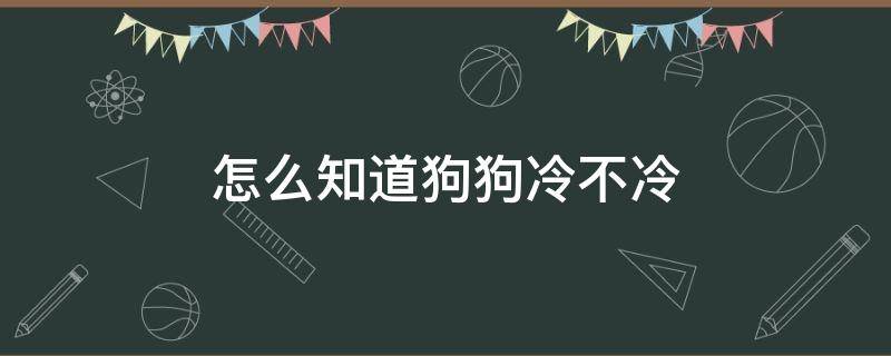 怎么知道狗狗冷不冷 怎么判断狗狗冷不冷