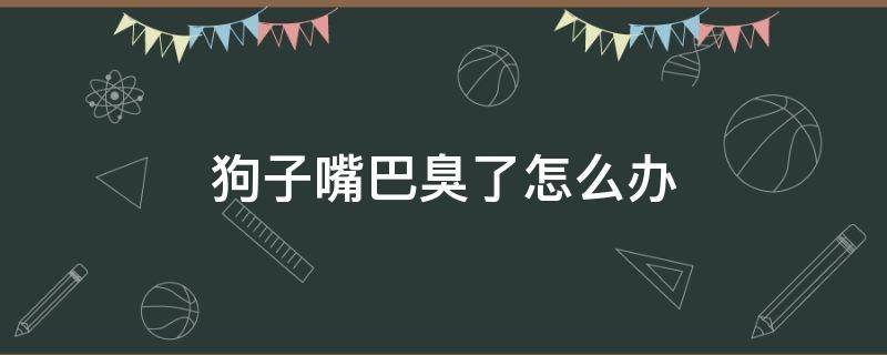 狗子嘴巴臭了怎么办（狗子嘴巴特别臭怎么办）