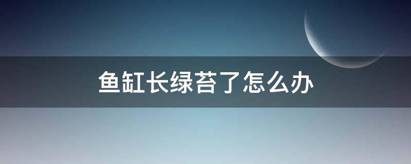 鱼缸长绿苔了怎么办（鱼缸会长绿苔怎么处理）