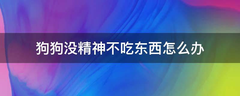 狗狗没精神不吃东西怎么办（狗狗没精神不吃东西怎么办肚子硬）