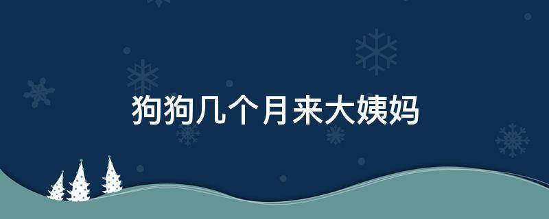 狗狗几个月来大姨妈 狗狗几个月来大姨妈多长时间