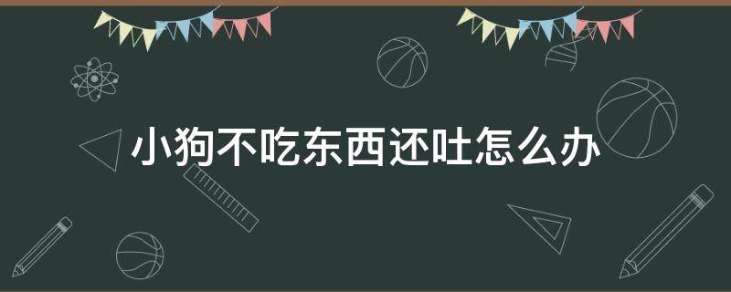 小狗不吃东西还吐怎么办 小狗不吃食还吐怎么办