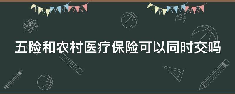 五险和农村医疗保险可以同时交吗 五险的医疗保险和农村的医疗保险有啥区别