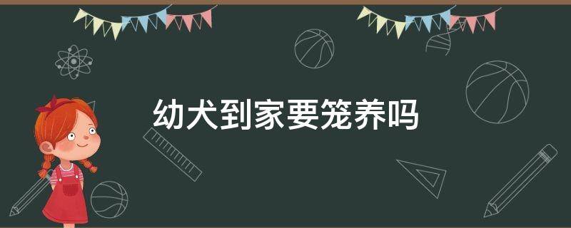 幼犬到家要笼养吗（幼犬刚到家为什么要笼养）