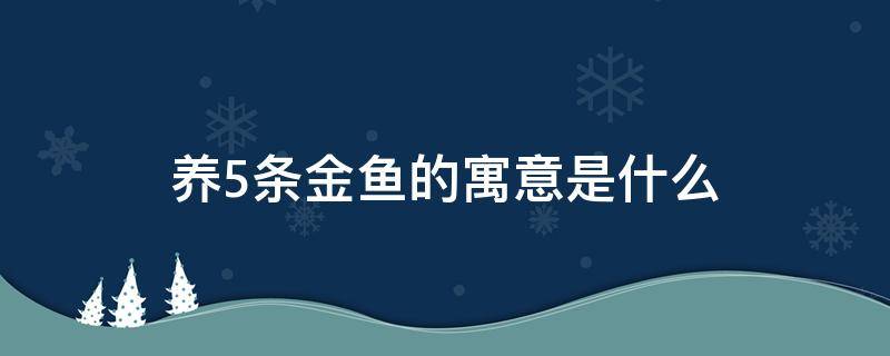 养5条金鱼的寓意是什么 家里养5条鱼是什么寓意