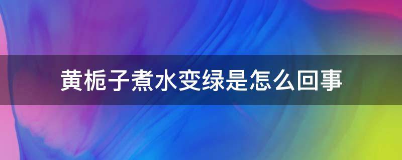 黄栀子煮水变绿是怎么回事 黄栀子水变绿有毒