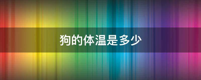 狗的体温是多少 狗的体温是多少度正常体温