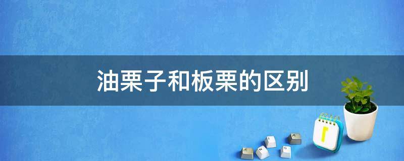 油栗子和板栗的区别（油栗子和板栗的区别哪个更有营养）