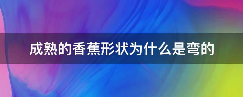 成熟的香蕉形状为什么是弯的（成熟的香蕉形状为何是弯的）