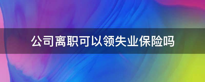 公司离职可以领失业保险吗 自己离职的能领失业保险金吗