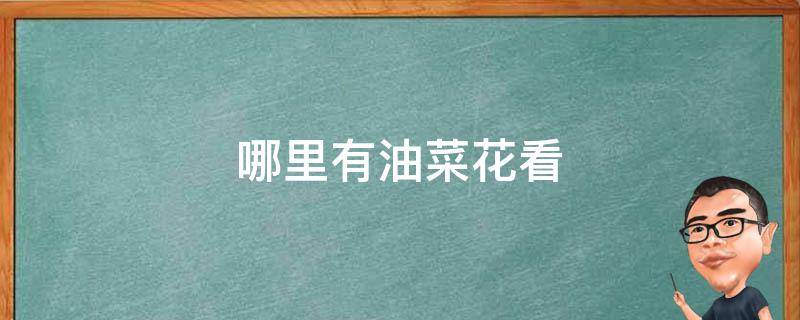 哪里有油菜花看（看油菜花去哪里看）