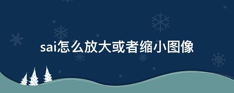 sai怎么放大或者缩小图像 sai怎么缩小图像大小