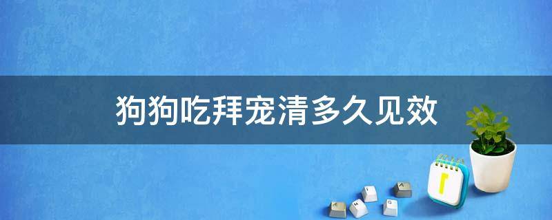 狗狗吃拜宠清多久见效 拜宠清适合几个月的狗狗吃