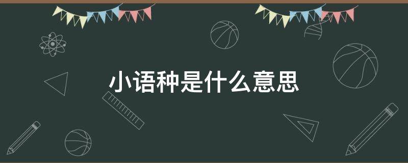 小语种是什么意思（中考小语种是什么意思）