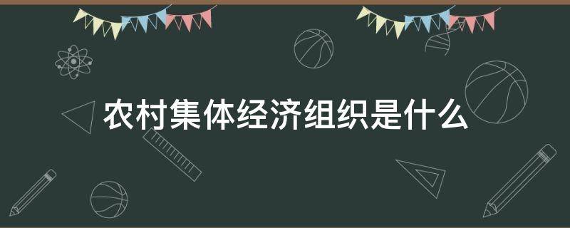 农村集体经济组织是什么 农村集体经济组织是什么时候提出来的概念