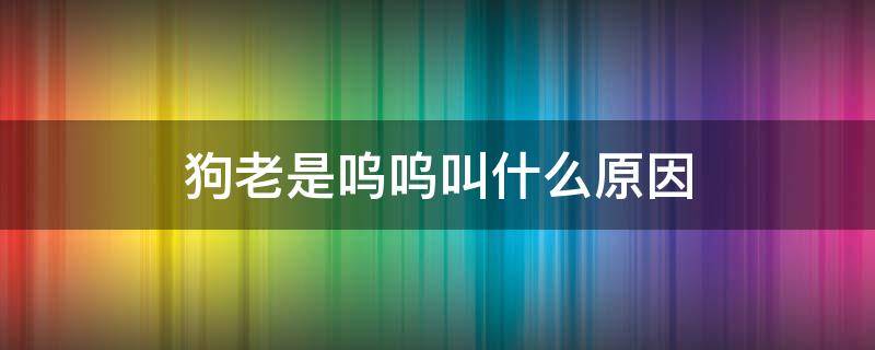 狗老是呜呜叫什么原因（狗老是呜呜叫是什么原因）