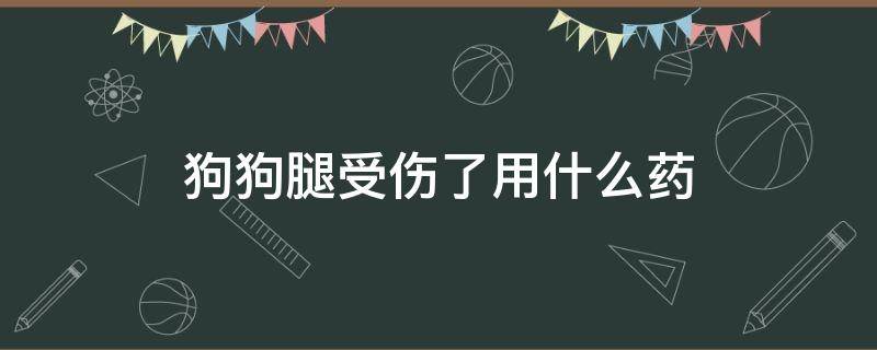 狗狗腿受伤了用什么药 狗腿受伤吃什么药