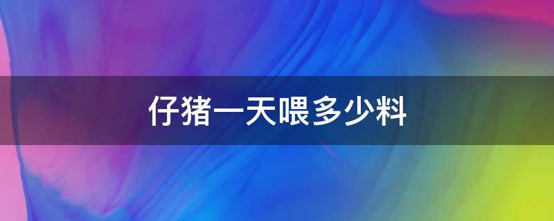 仔猪一天喂多少料（四十斤的仔猪一天喂多少料）