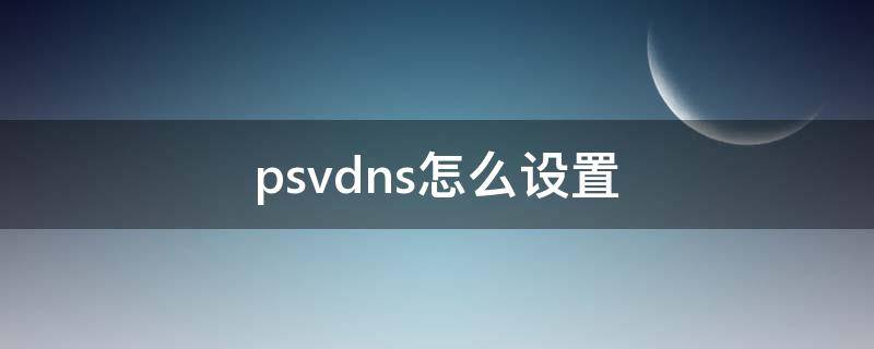 psvdns怎么设置 psvdns怎么改网速快