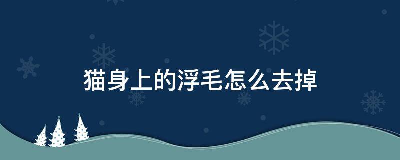 猫身上的浮毛怎么去掉（猫咪去除浮毛）