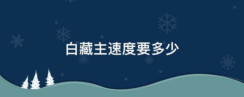 白藏主速度要多少 白藏主速度加到多少合适