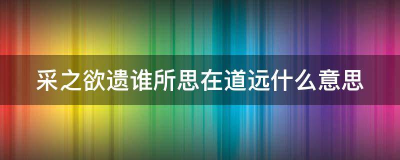 采之欲遗谁所思在道远什么意思 采之欲遗谁翻译