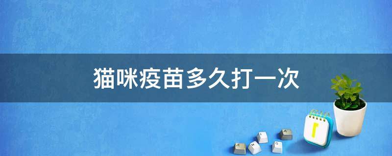 猫咪疫苗多久打一次（猫咪疫苗多久打一次间隔多久）