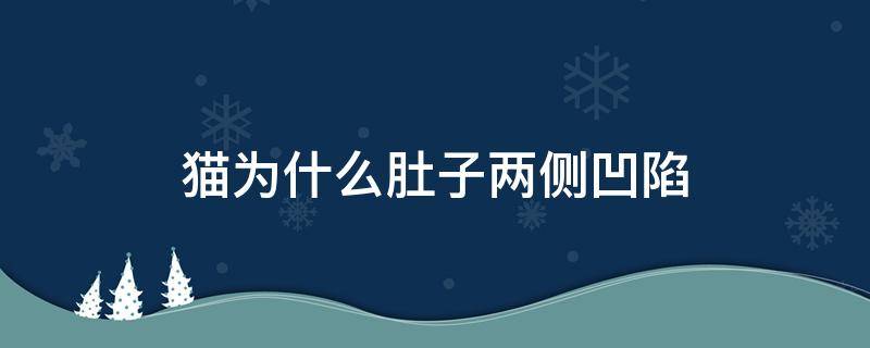 猫为什么肚子两侧凹陷 猫的肚子凹凸不平